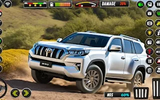 Prado Car Driving